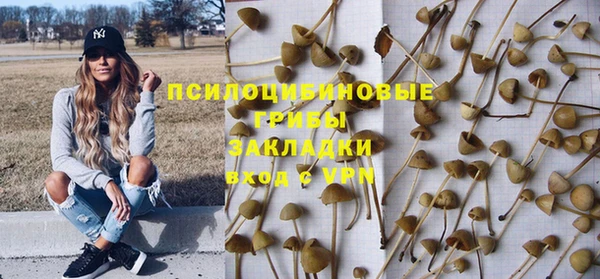 прущие крисы Алексеевка