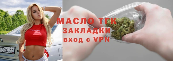 шишки Дубна